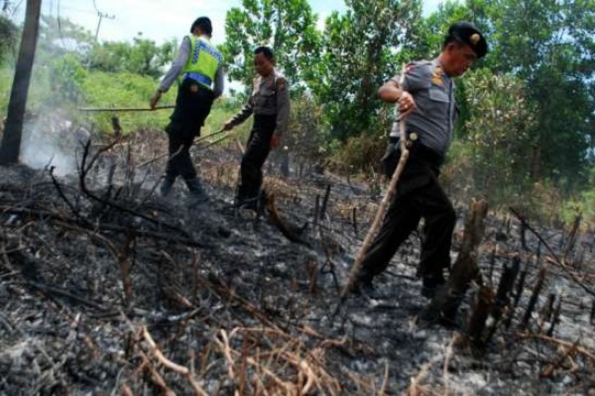 Delapan Kasus Karhutla 2013-2014 Belum ke Pengadilan