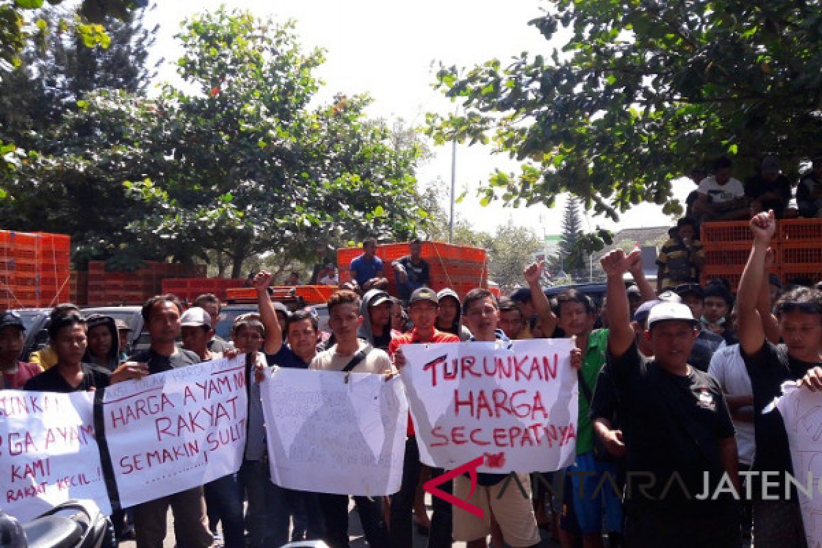 Harga ayam melejit, pedagang demo di DPRD Temanggung