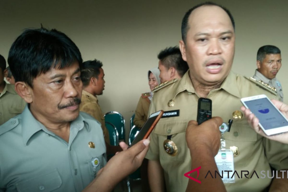 2,4 juta hektare kelapa sawit mendesak diremajakan