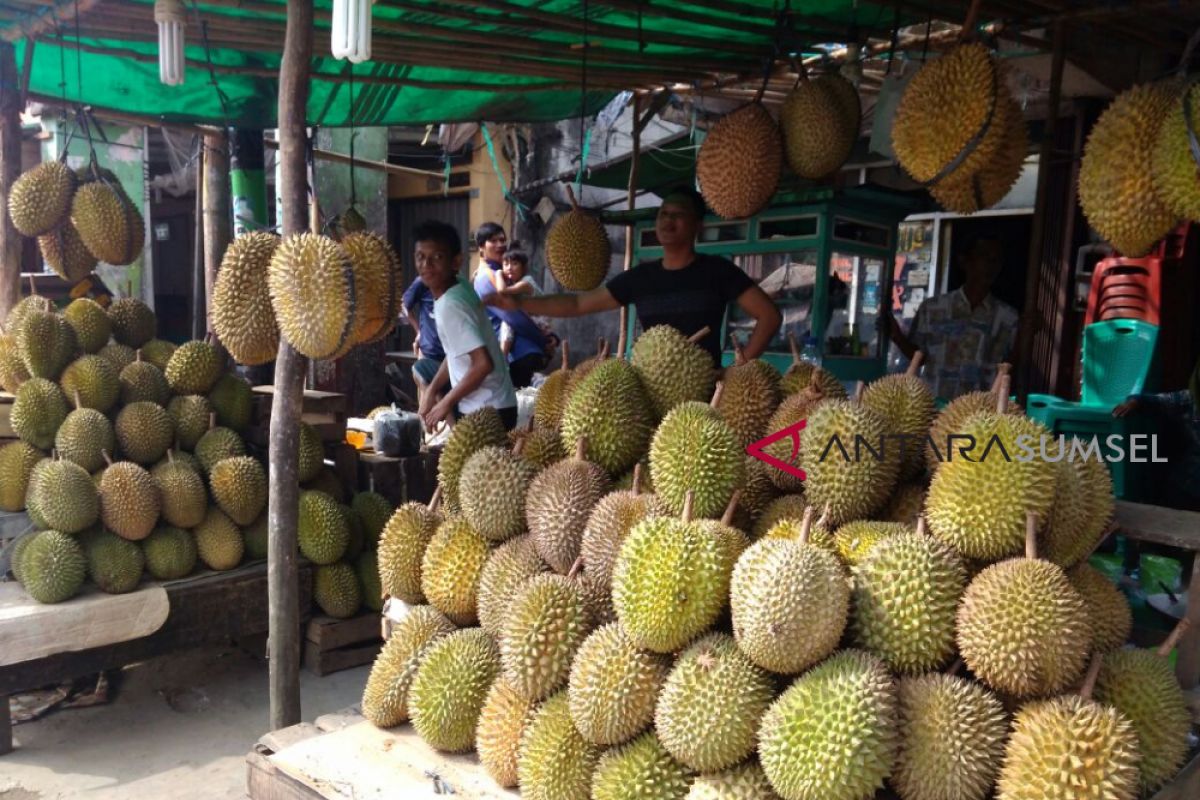 Dosen di Riau olah biji durian jadi tepung tinggi protein