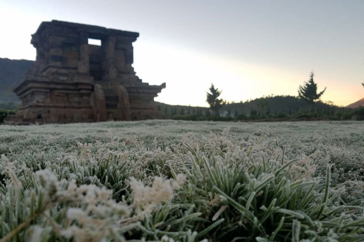 Menikmati fenomena embun upas di Dieng