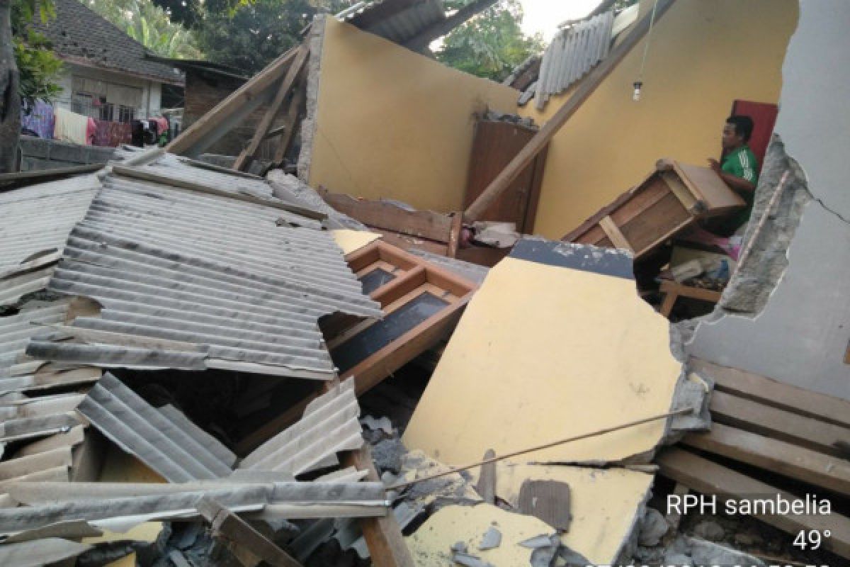 Gempa tektonik Lombok-Sumbawa akibat sesar naik Flores