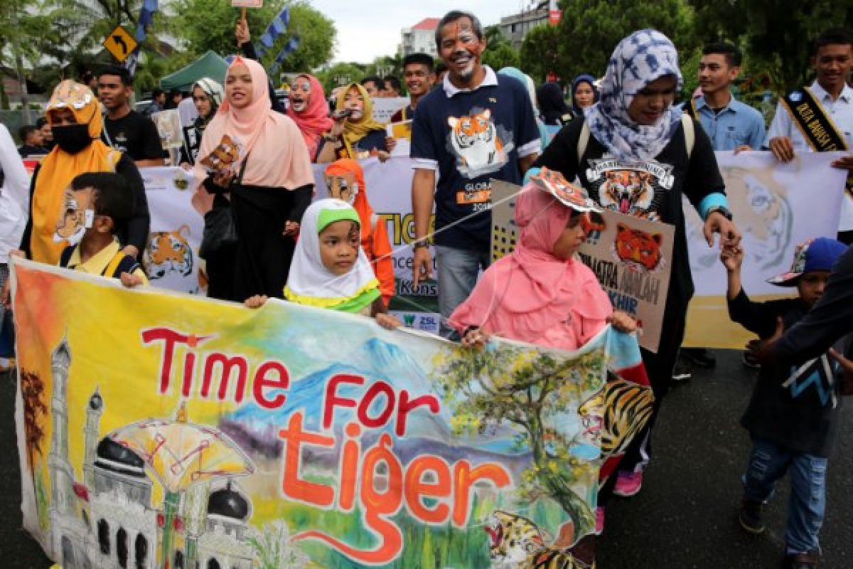 THA suarakan penyelamatan harimau sumatera