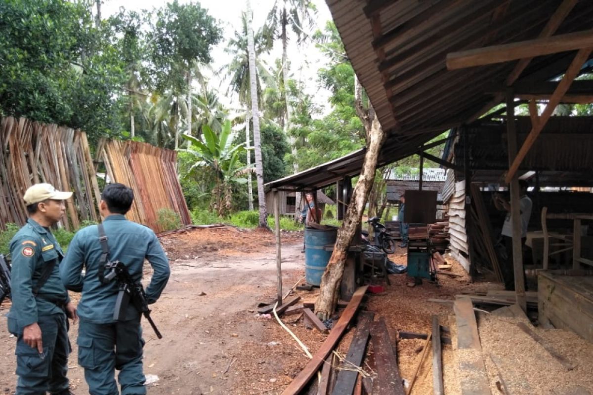 SPORC Kalbar tetapkan tersangka pemodal illegal logging Ketapang