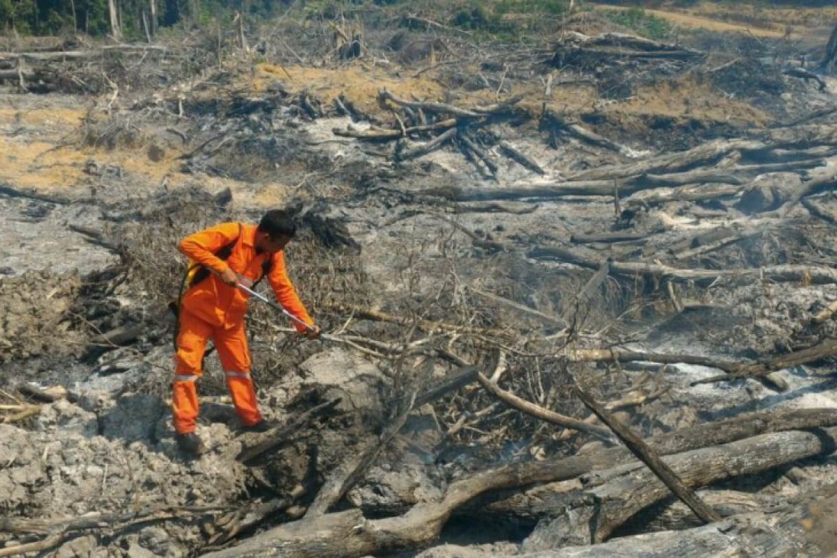 10 titik panas terdeteksi di Jambi