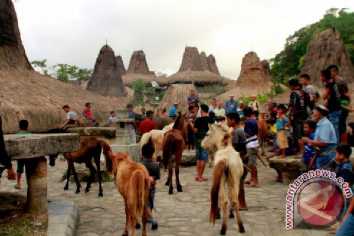 Dinas Pariwisata NTT khawatir keaslian budaya kampung adat Wae Rebo hilang