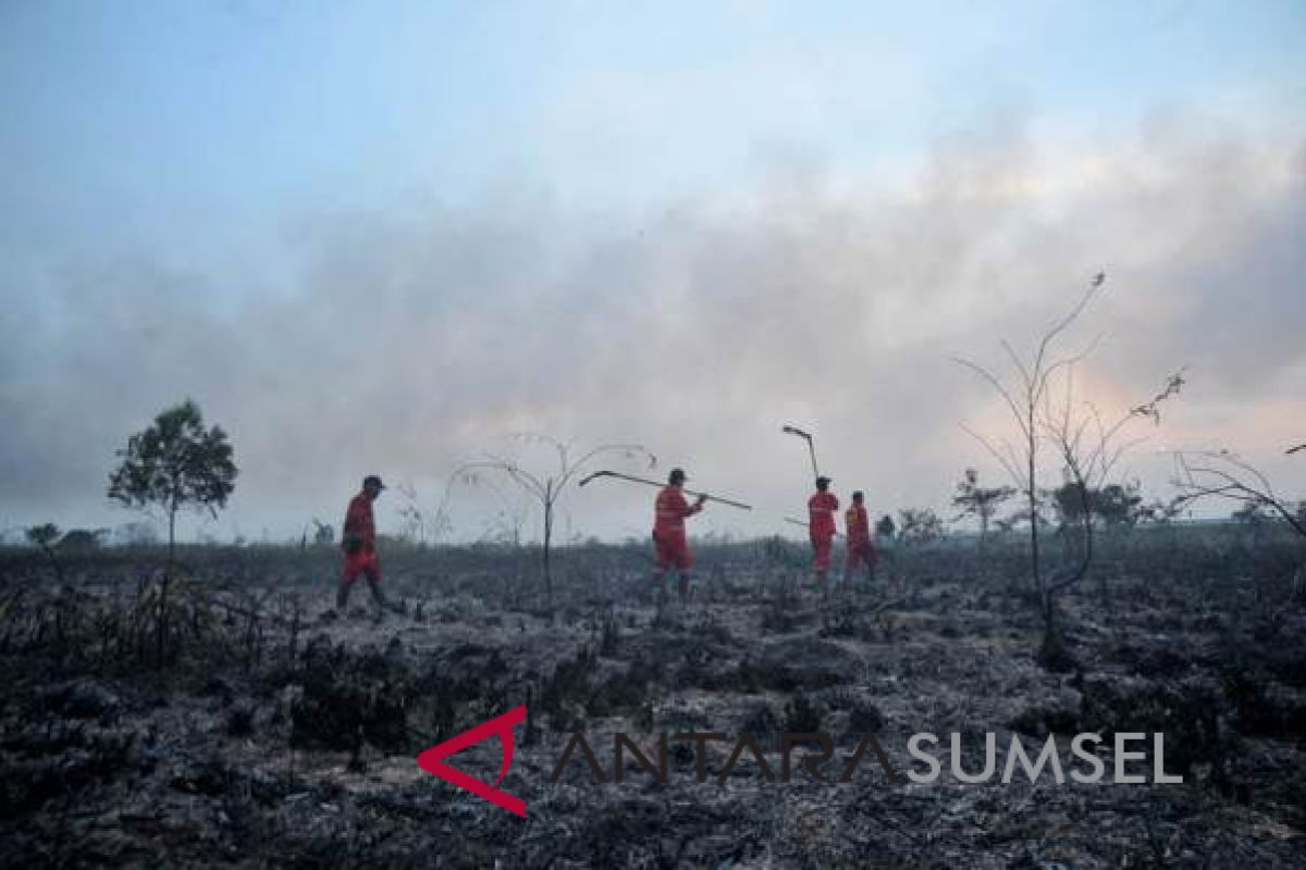 Puluhan desa di Sumsel rawan kebakaran hutan dan lahan