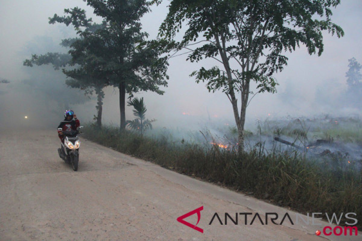 Masyarakat Palangka Raya mulai cium asap kebakaran