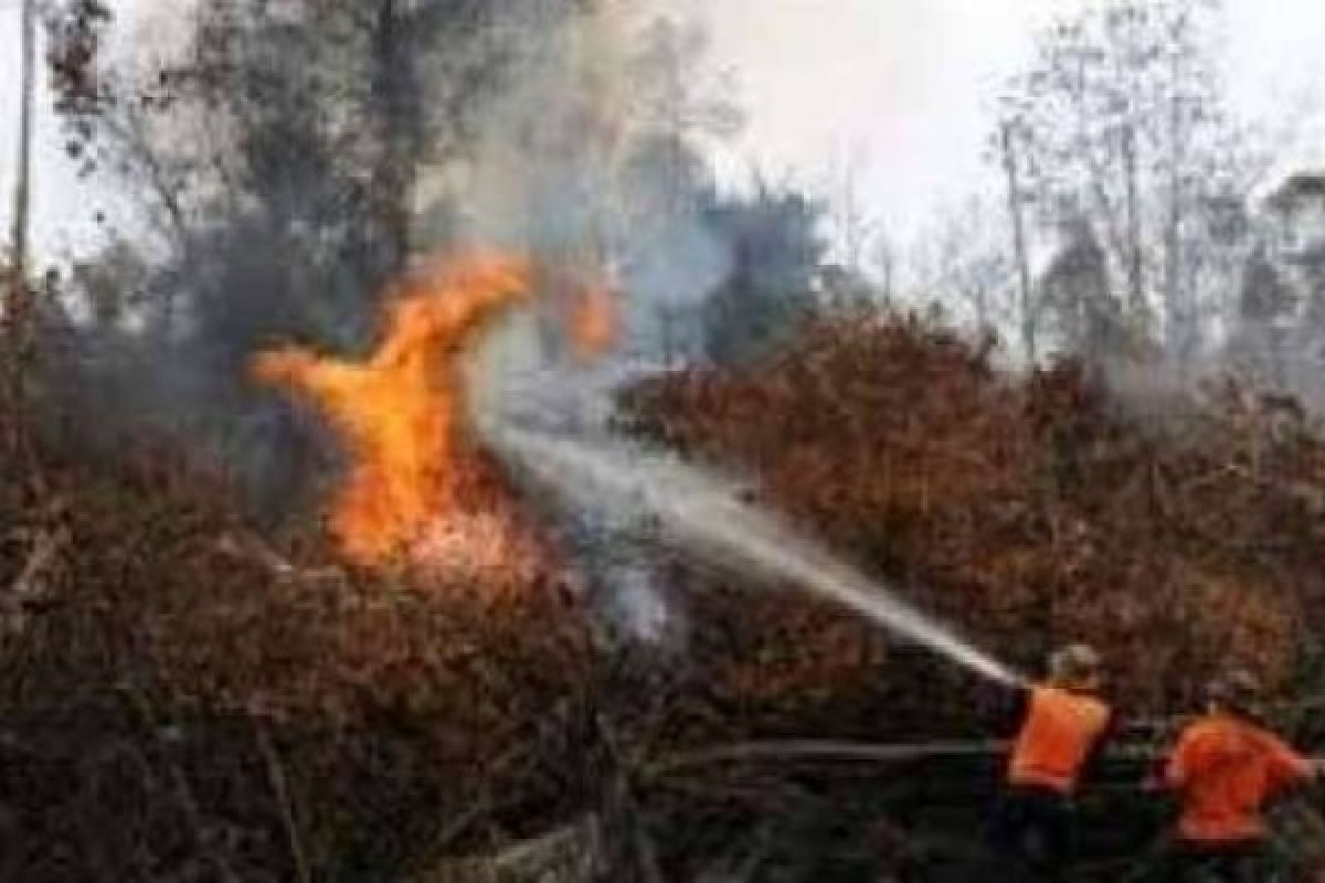 Kebakaran Lahan di Bukit Bathrem Dumai, Sumber Air Terbatas