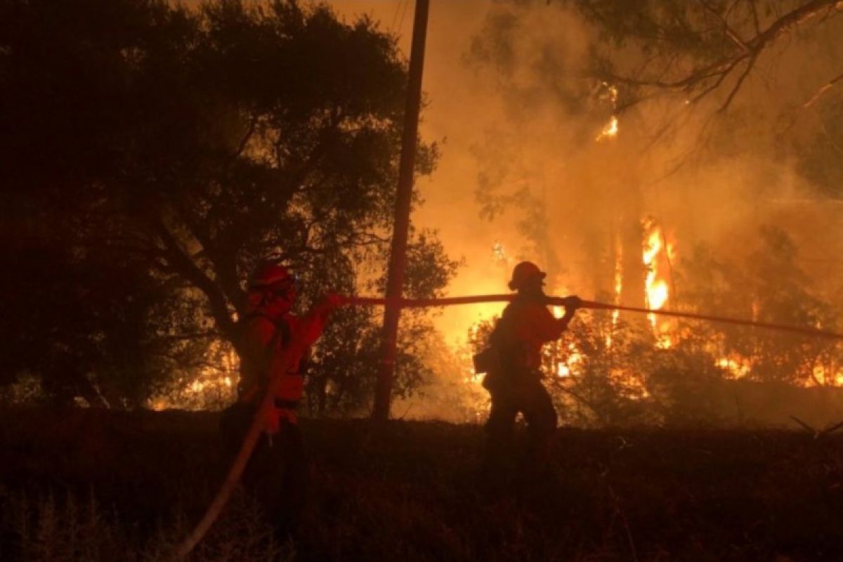Kebakaran di California cepat menyebar, penghuni mengungsi