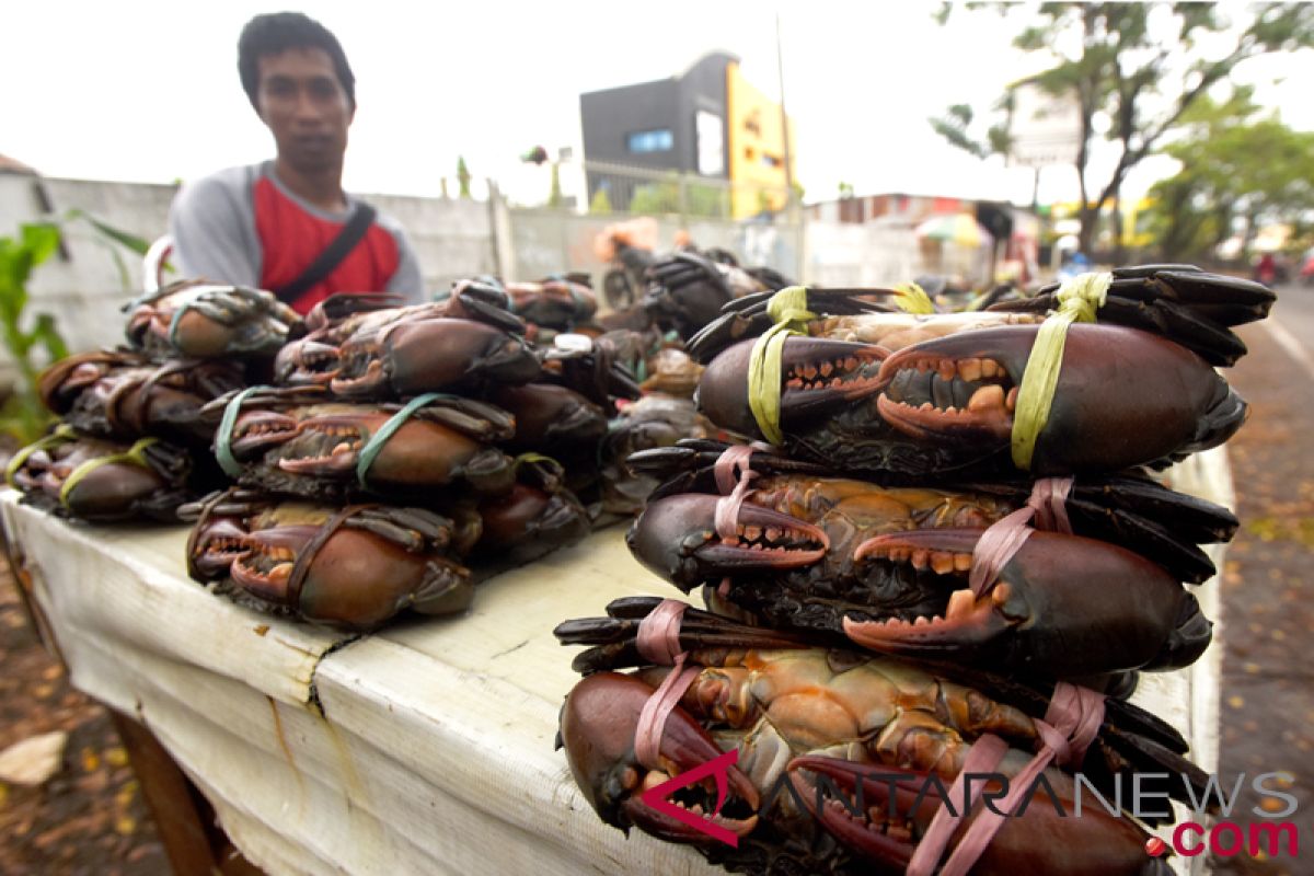 Police foil smuggling of 2,609 crabs to Malaysia