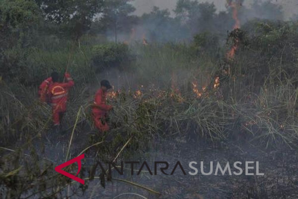 Lima kecamatan di Musi Rawas rawan kebakaran hutan dan lahan