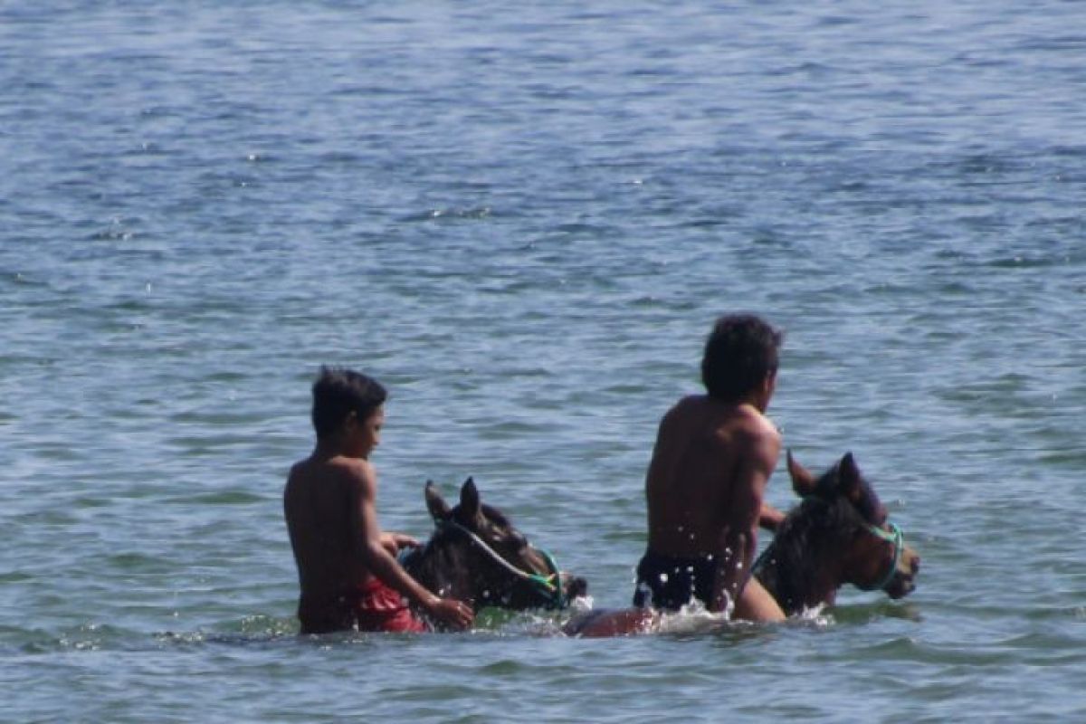 Memelihara tradisi "Kandeu Jara" di Bima