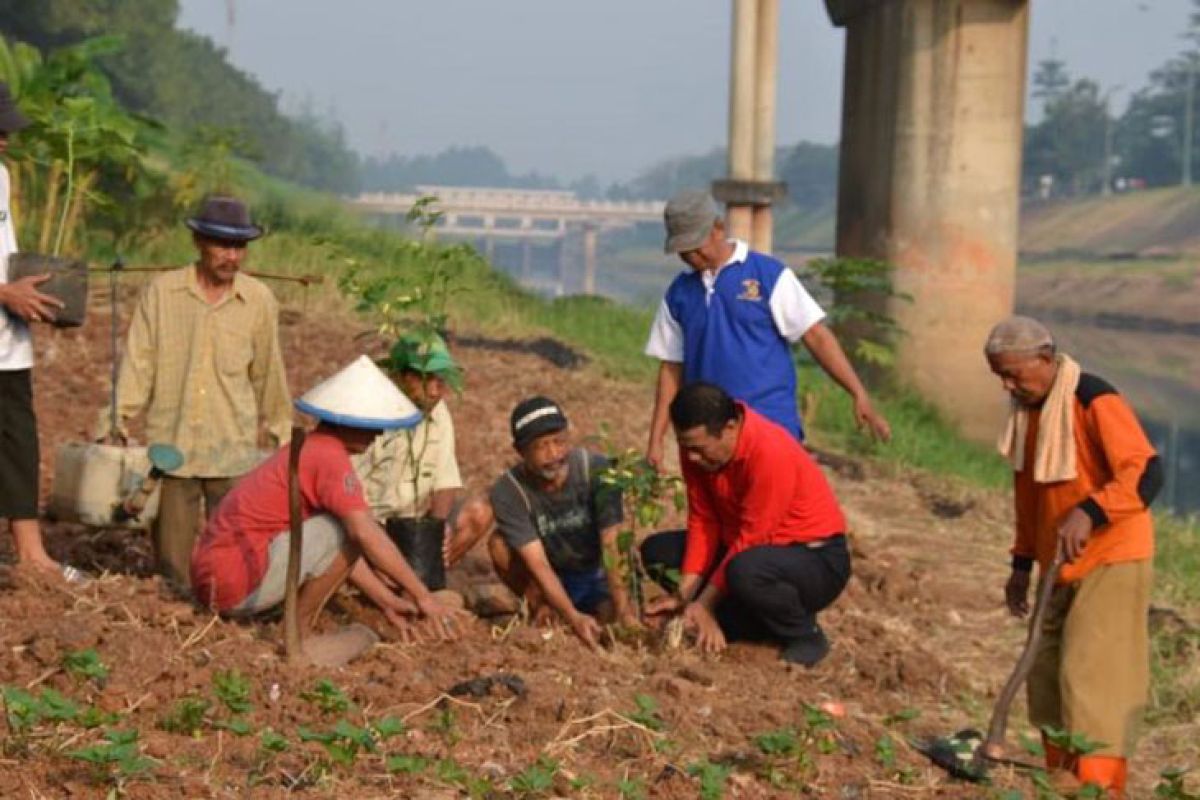 Mentan: manfaatkan bantaran BKT sebagai lahan cabai-sayuran