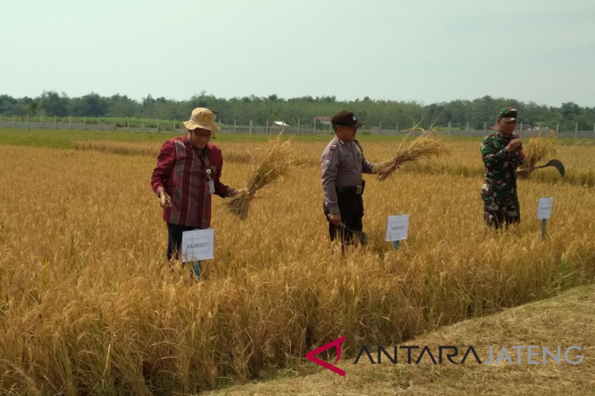 Pakar Unsoed: tingkatkan sosialisasi pertanian terpadu