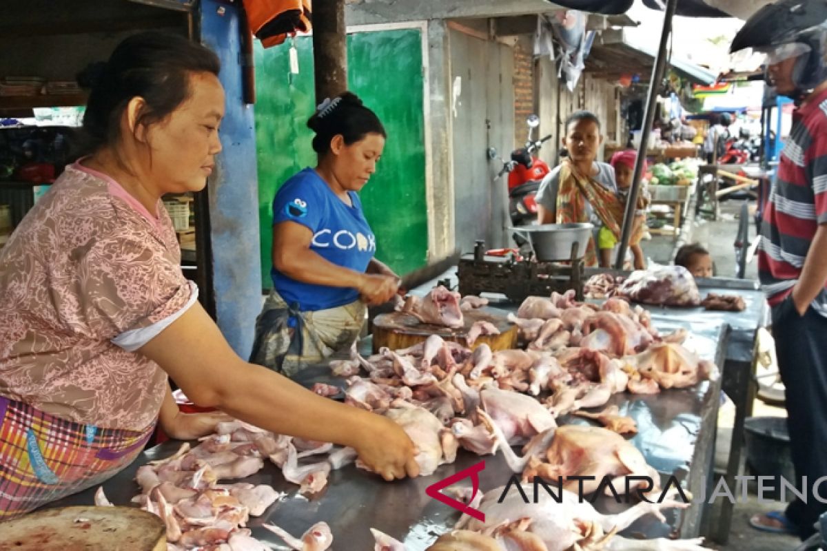 Harga daging ayam diprediksi normal kembali