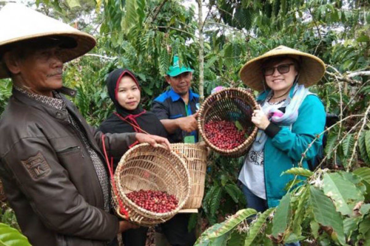 Pemprov luncurkan bantuan untuk petani kopi