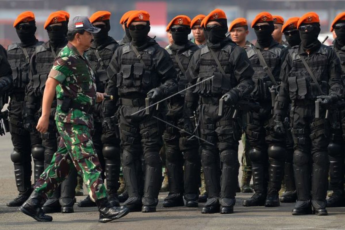 Panglima: pembentukan Komando Operasi Udara Nasional terus dikaji