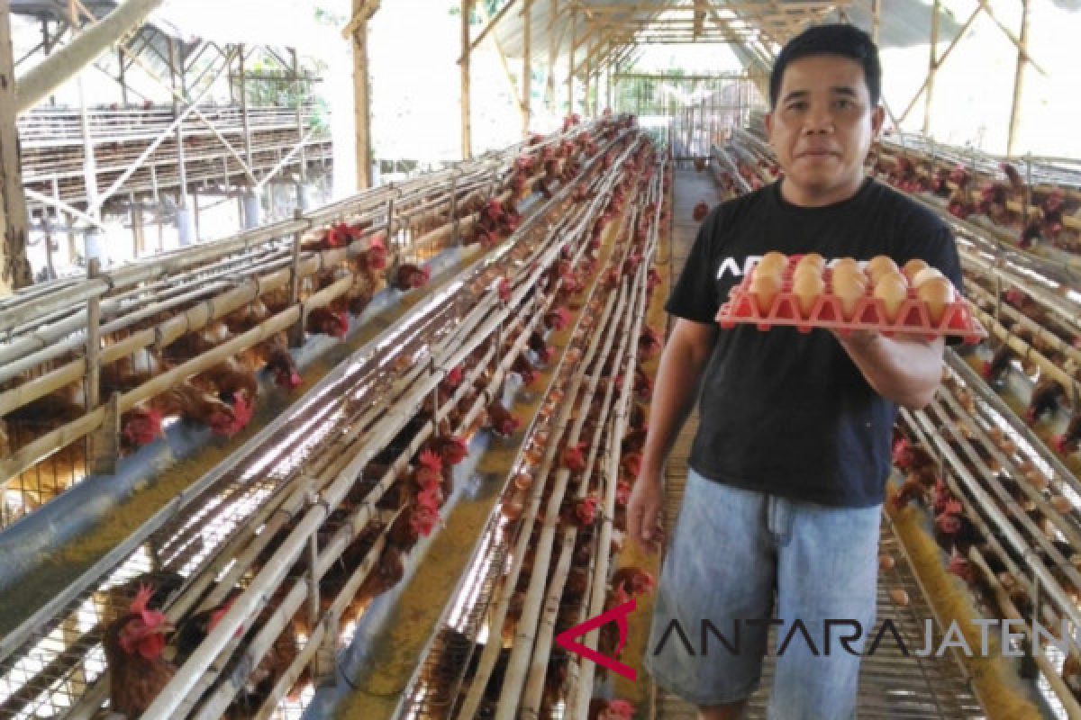 Pasokan berkurang, harga telur bergerak naik