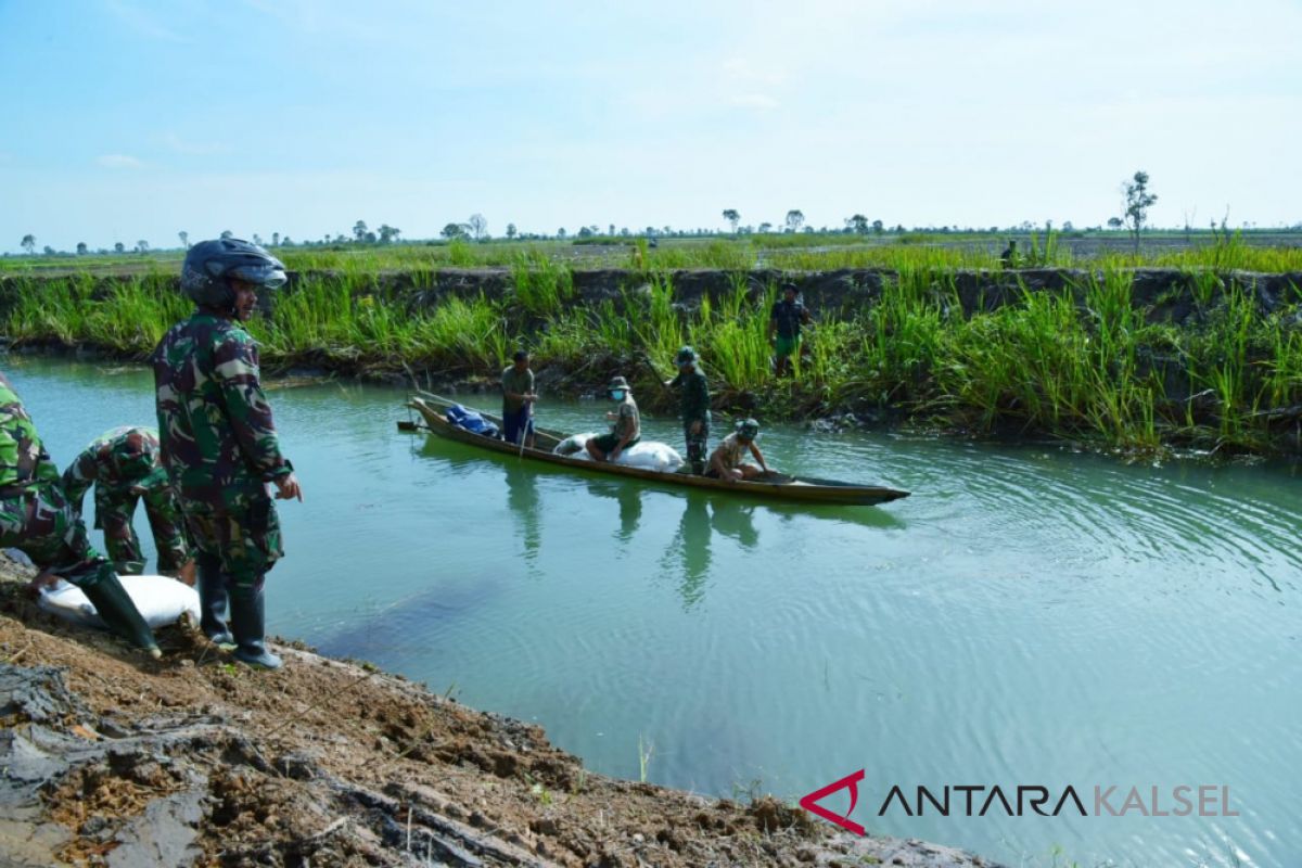 Kalsel targetkan tambah produksi padi 32 ribu ton