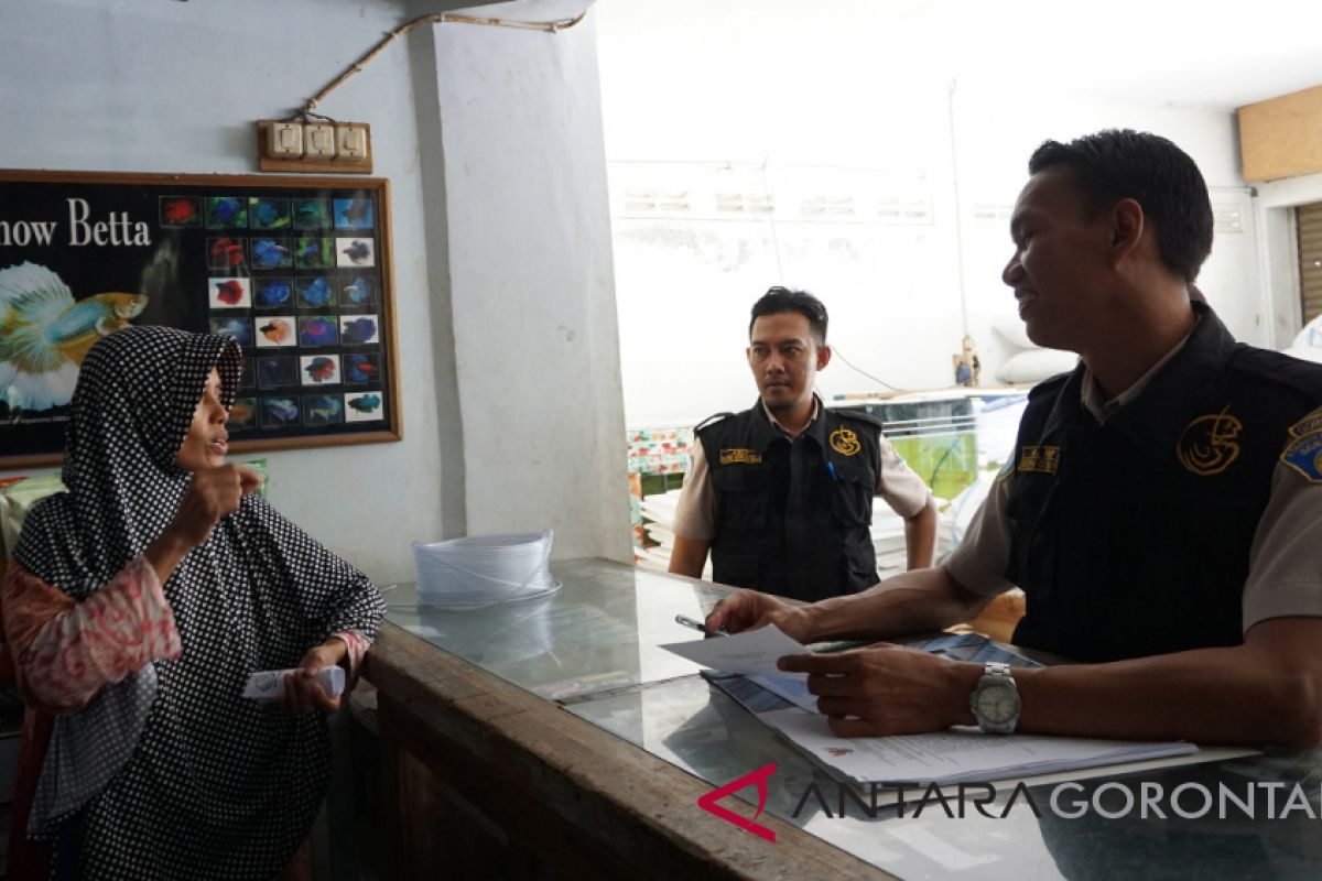 SKPIM Gorontalo Sosialisasi Ikan Predator-Invasif