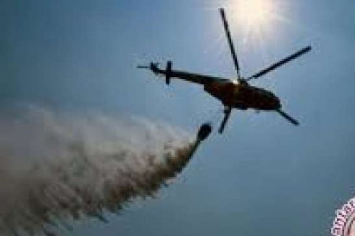 Sudah 140 Hektare Terbakar Lahan di Dumai, 5 Helikopter Membom Air