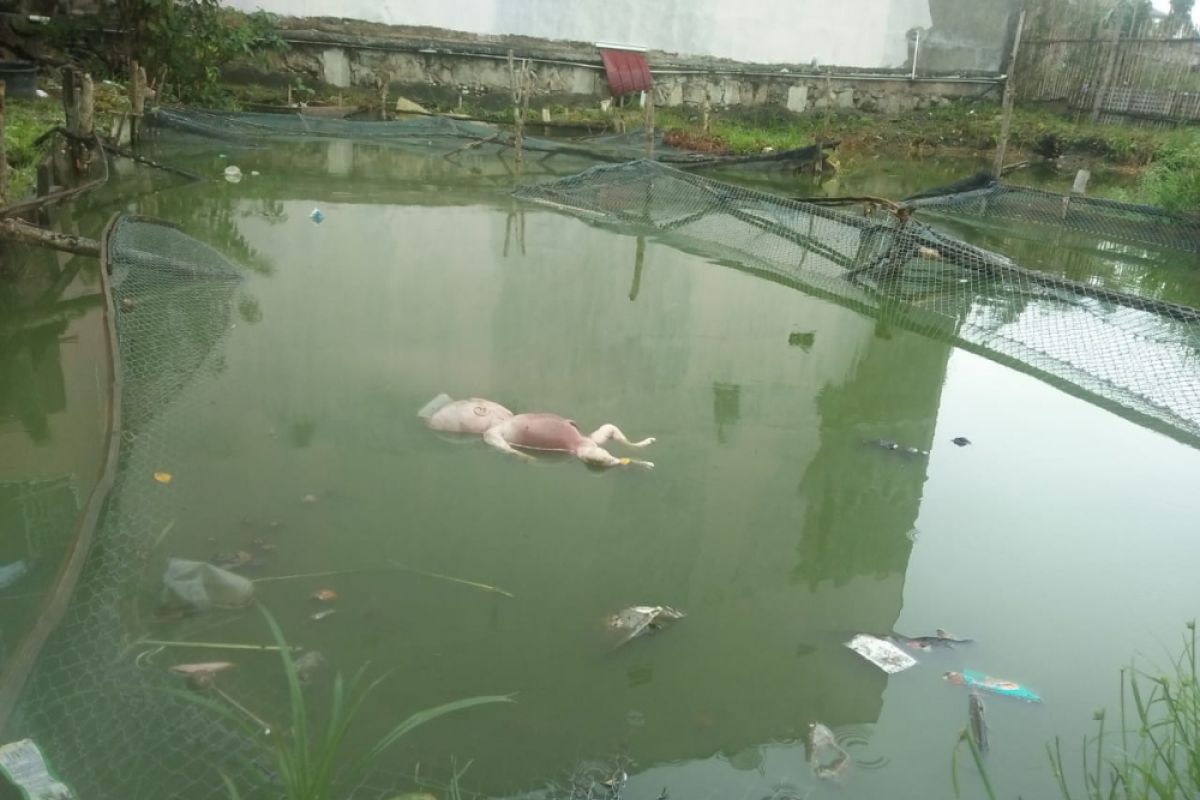 Orok perempuan ditemukan mengambang di kolam