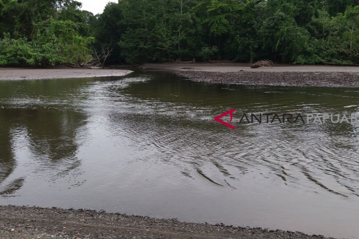 Warga Sorong Bunuh Buaya Terkam Sugito Hingga Tewas