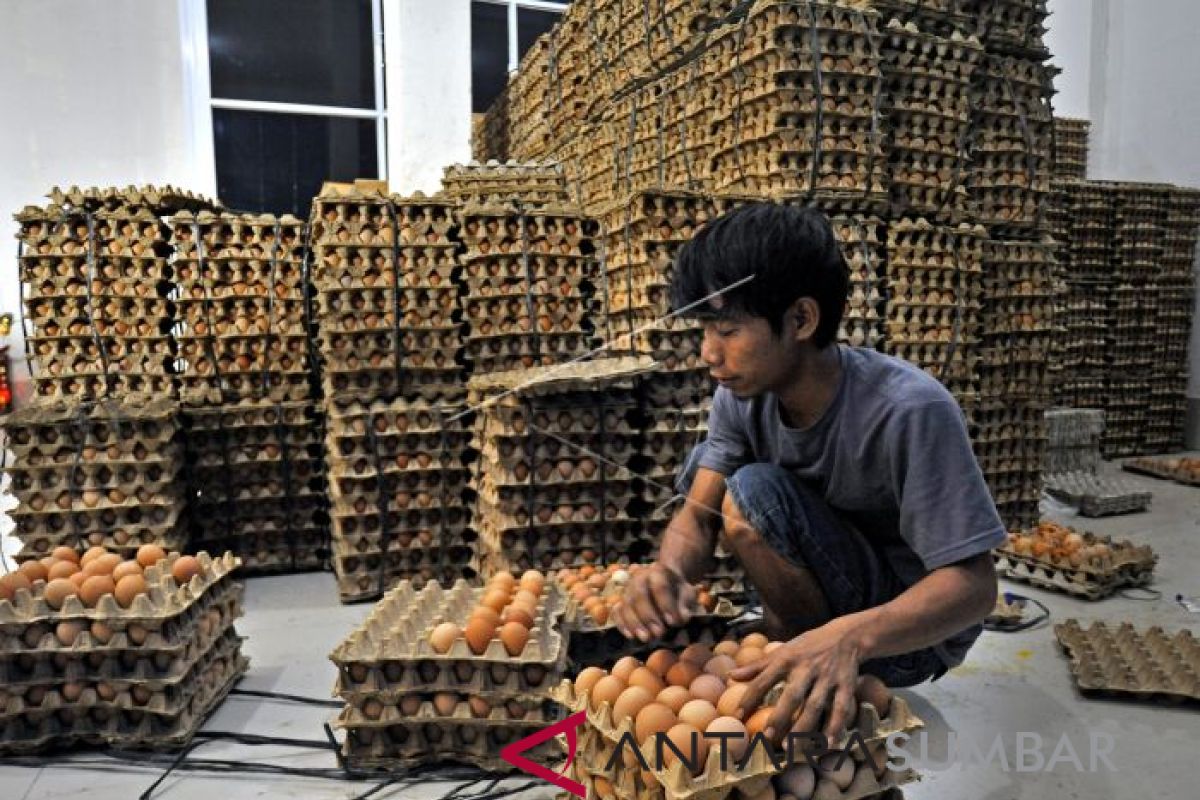 Harga daging dan telur di Sukabumi melambung