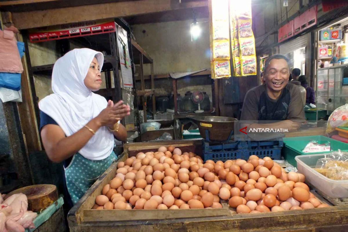 Harga Daging dan Telur Ayam Ras di Jember Turun