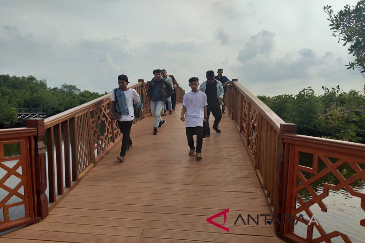 Destinasi wisata taman hutan mangrove kian bergeliat