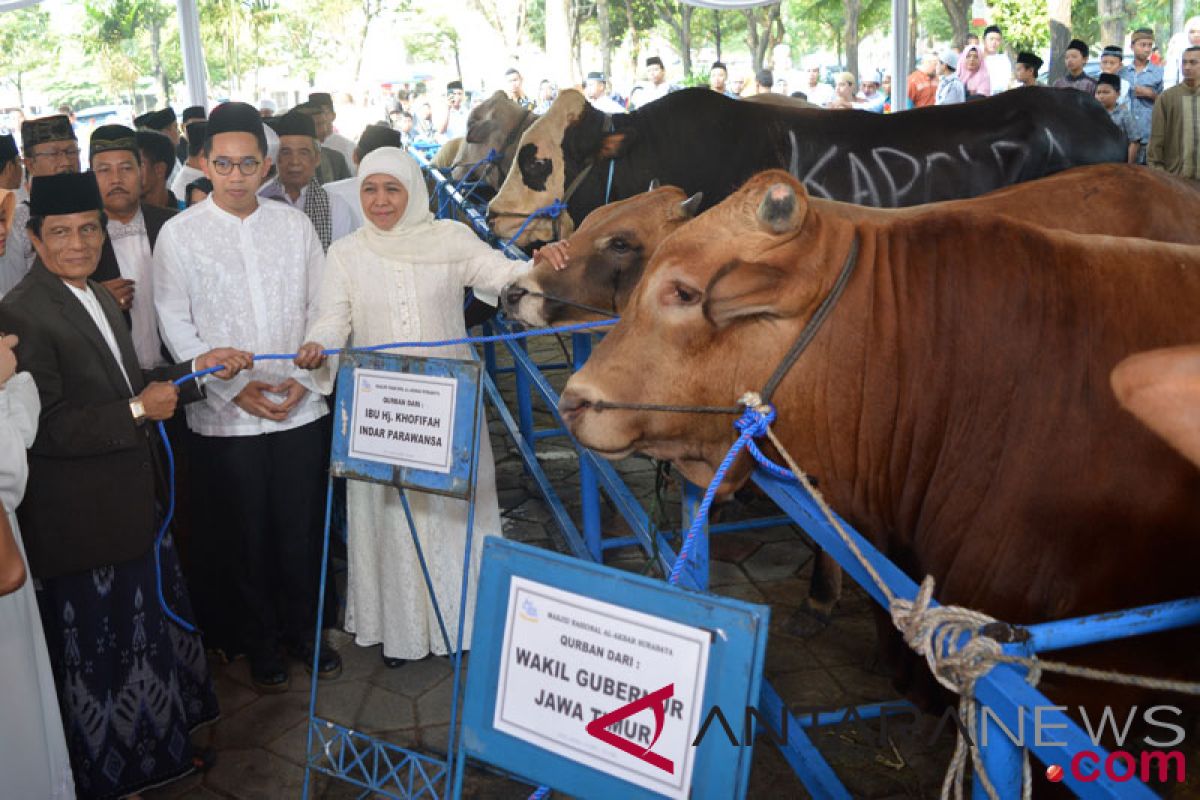 Khofifah ungkap banyak makna dari Idul Adha