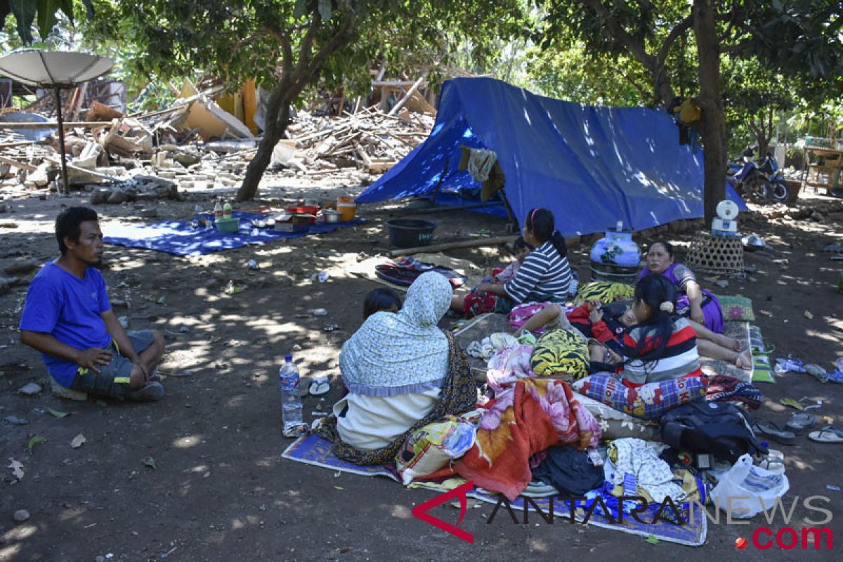 Wapres kunjungi pengungsi korban gempa Lombok