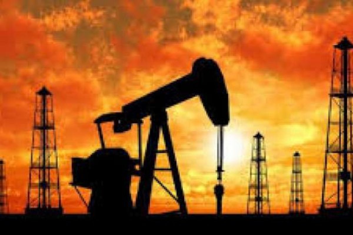 18 companies access first oil and gas bid round