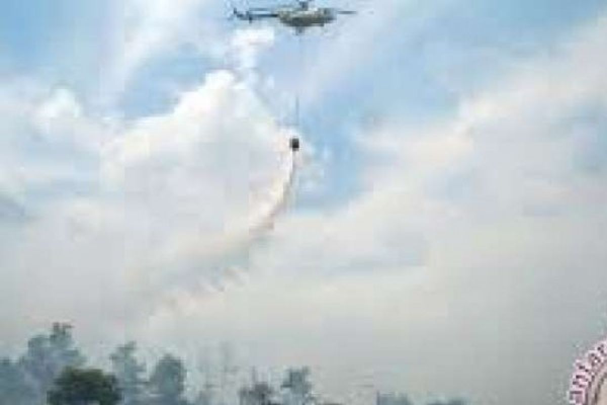 20 Hectares Of Preserved Forest Area In Bukit Suligi On Fire