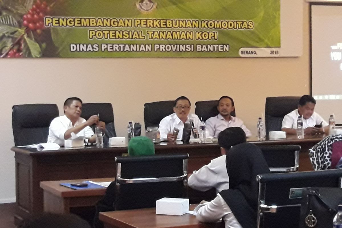 Banten Terus Tingkatkan Produksi Kopi