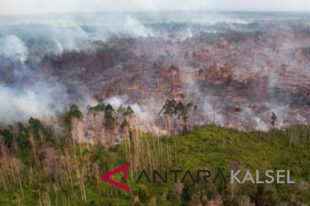 Kebakaran hutan kalsel capai  2.005 hektare