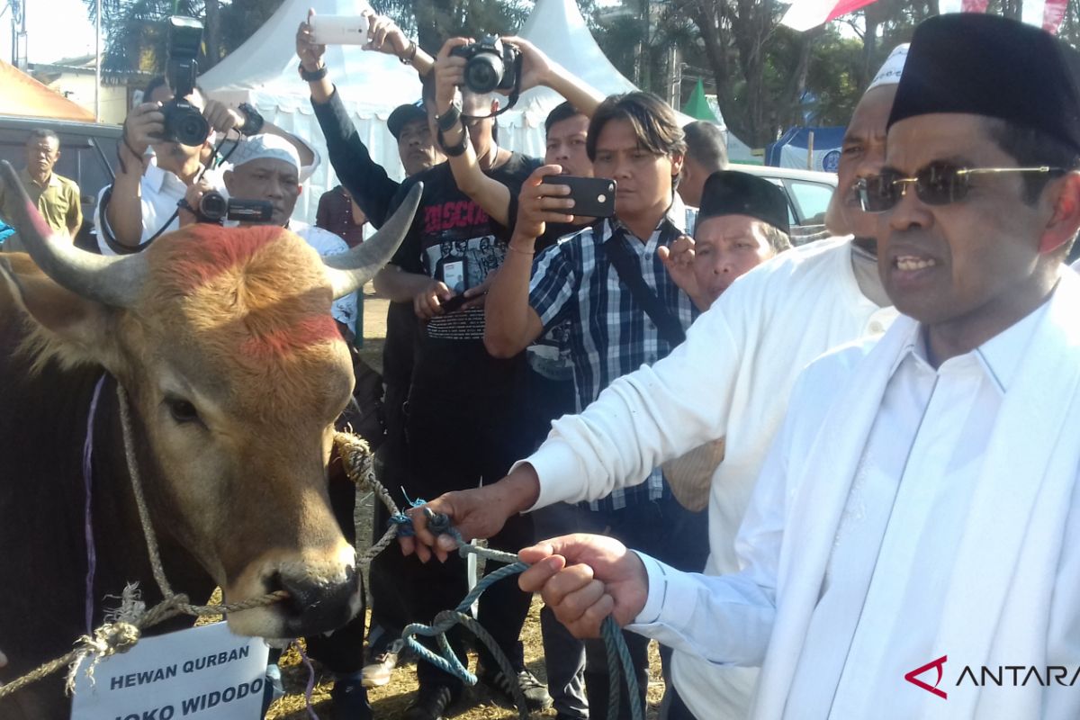 Presiden sumbang sapi kurban untuk korban gempa Lombok