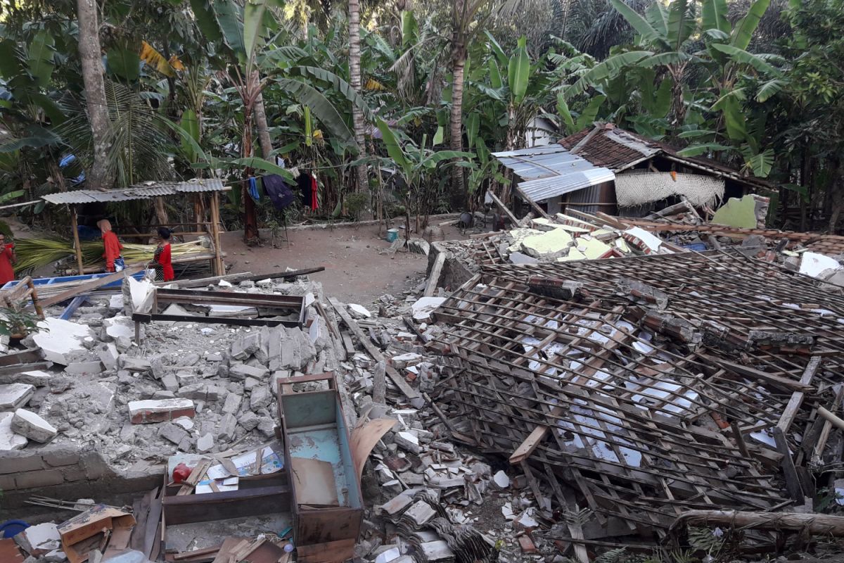 Tak ada beras, talas pun jadi bagi korban gempa Lombok