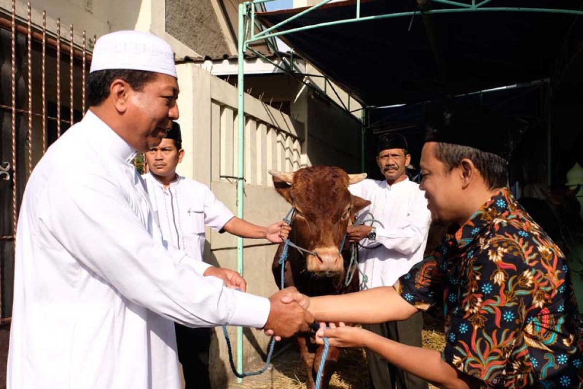 Mahasiswa STPP Magelang ikut periksa hewan kurban