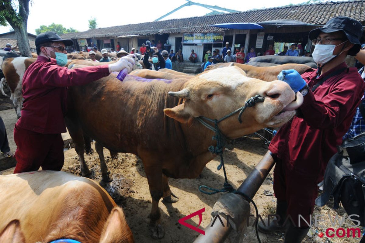 Kementan berharap produsen tingkatkan kualitas obat hewan