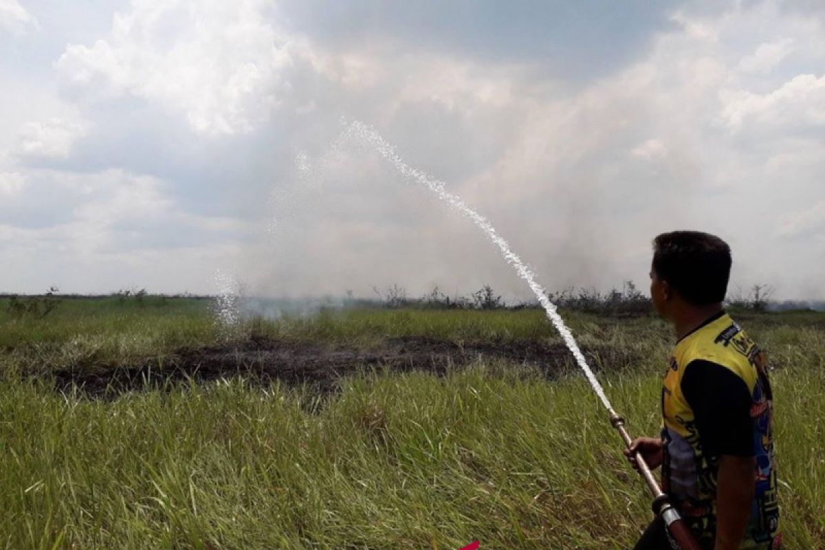 Kebakaran hutan dan lahan HSS belum berdampak kabut asap