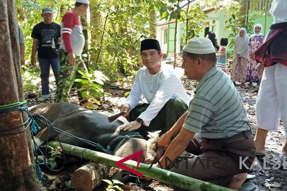 Akhmad Fahmi serahkan hewan kurban di Masjid Al Mujahidin