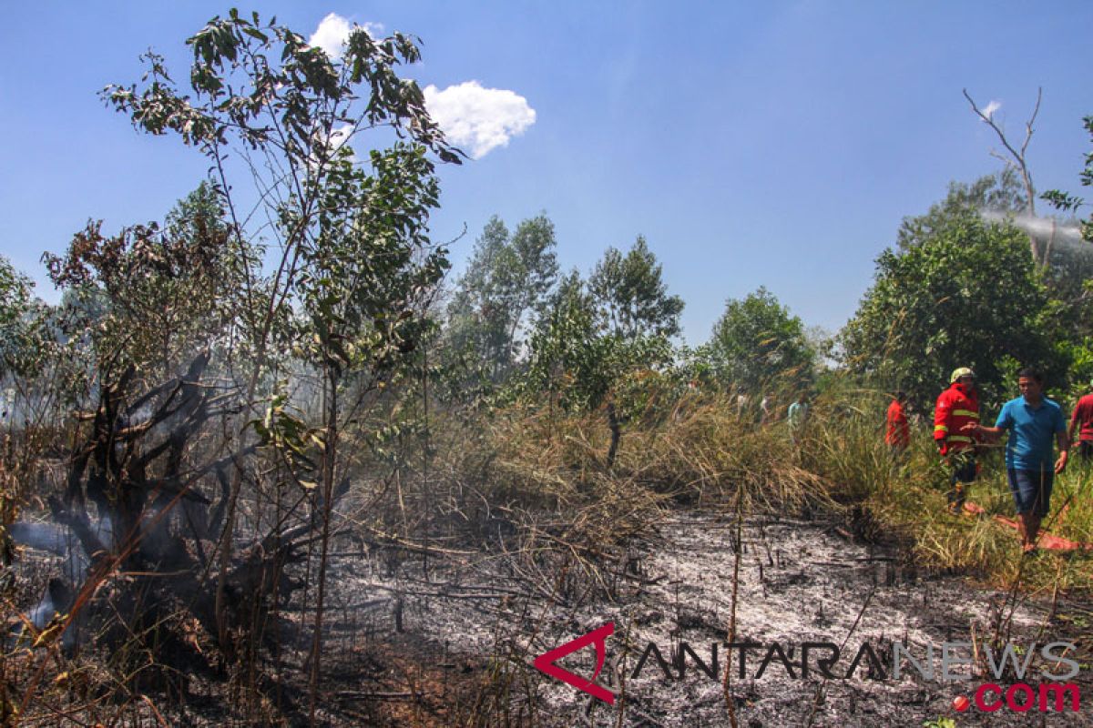 Kebakaran lahan di Pekanbaru dipadamkan tim gabungan