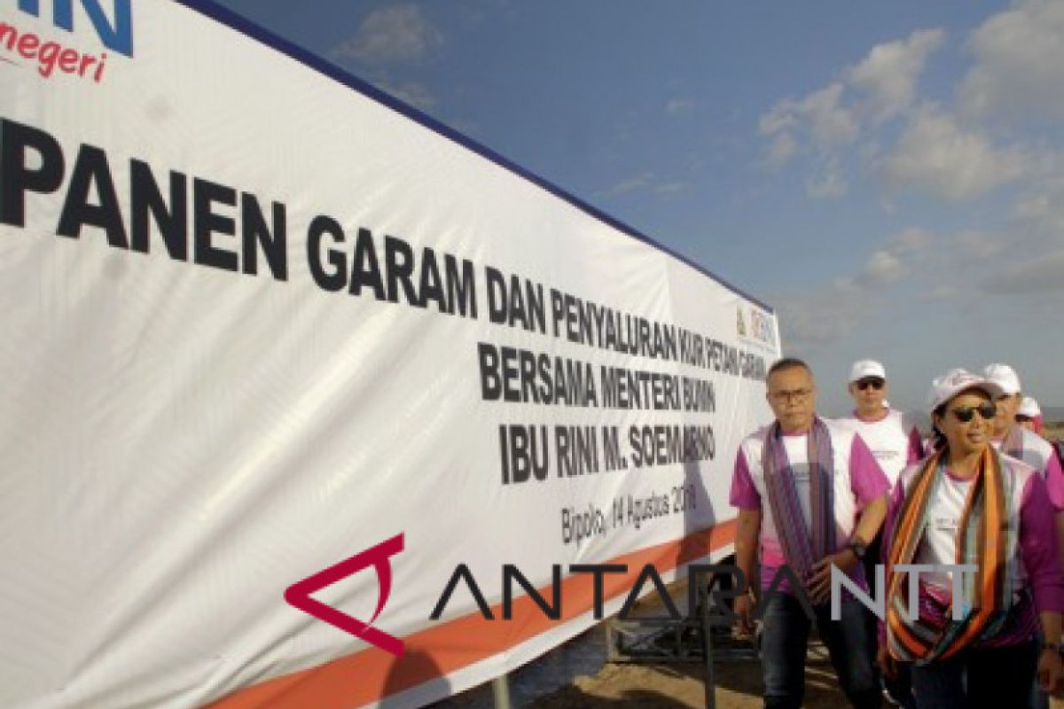 PT Garam targetkan produksi 15.000 ton garam di Bipolo