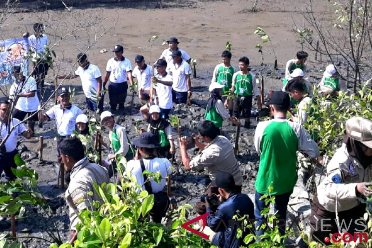 SMN asal Jakarta pelajari hutan mangrove Tarakan