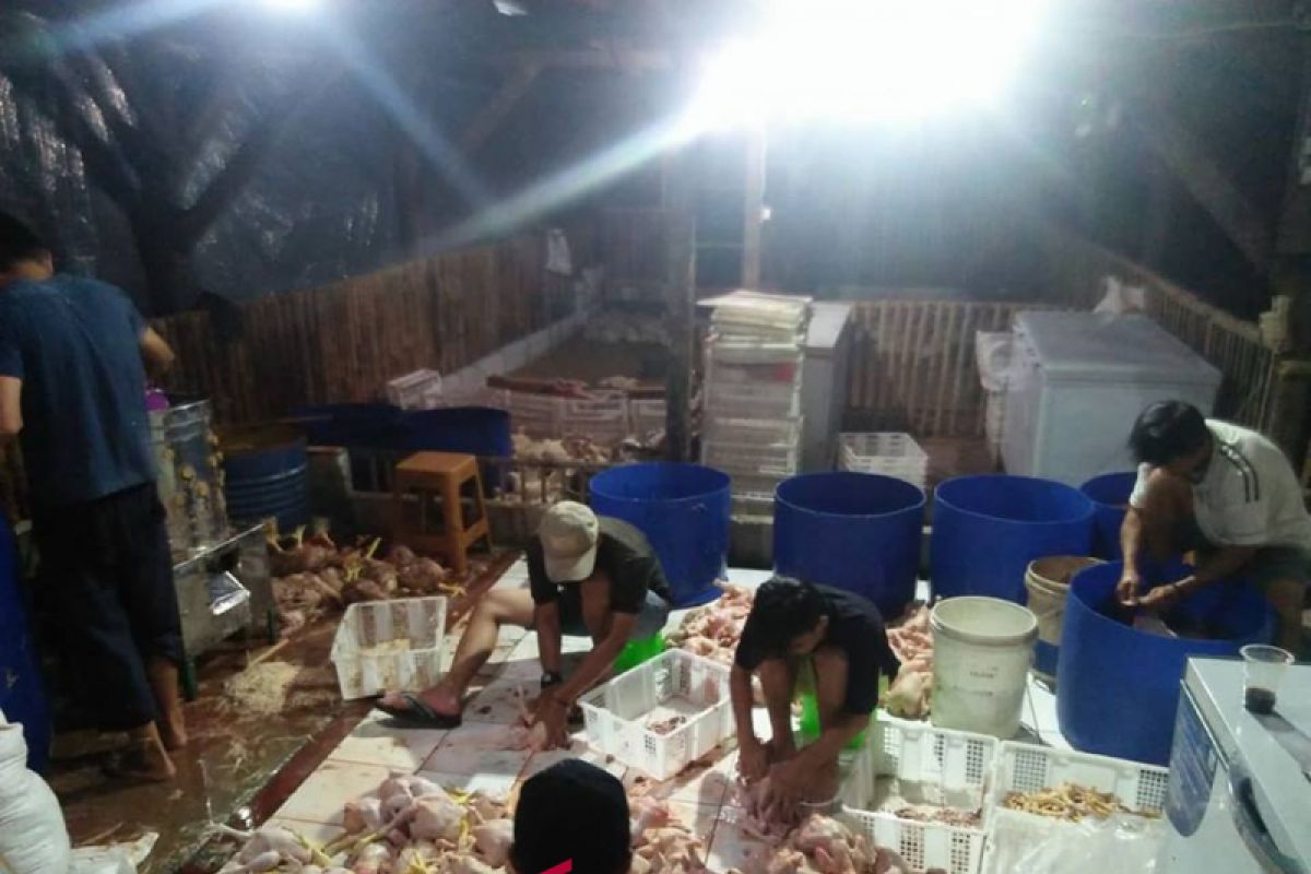 Akhirnya, harga telur dan daging ayam Sukabumi turun