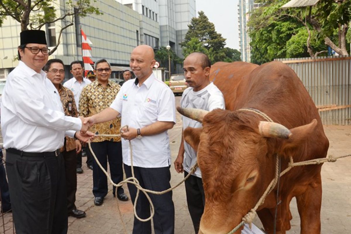 Asian Games Sukses, Menperin Optimistis Investasi Meningkat