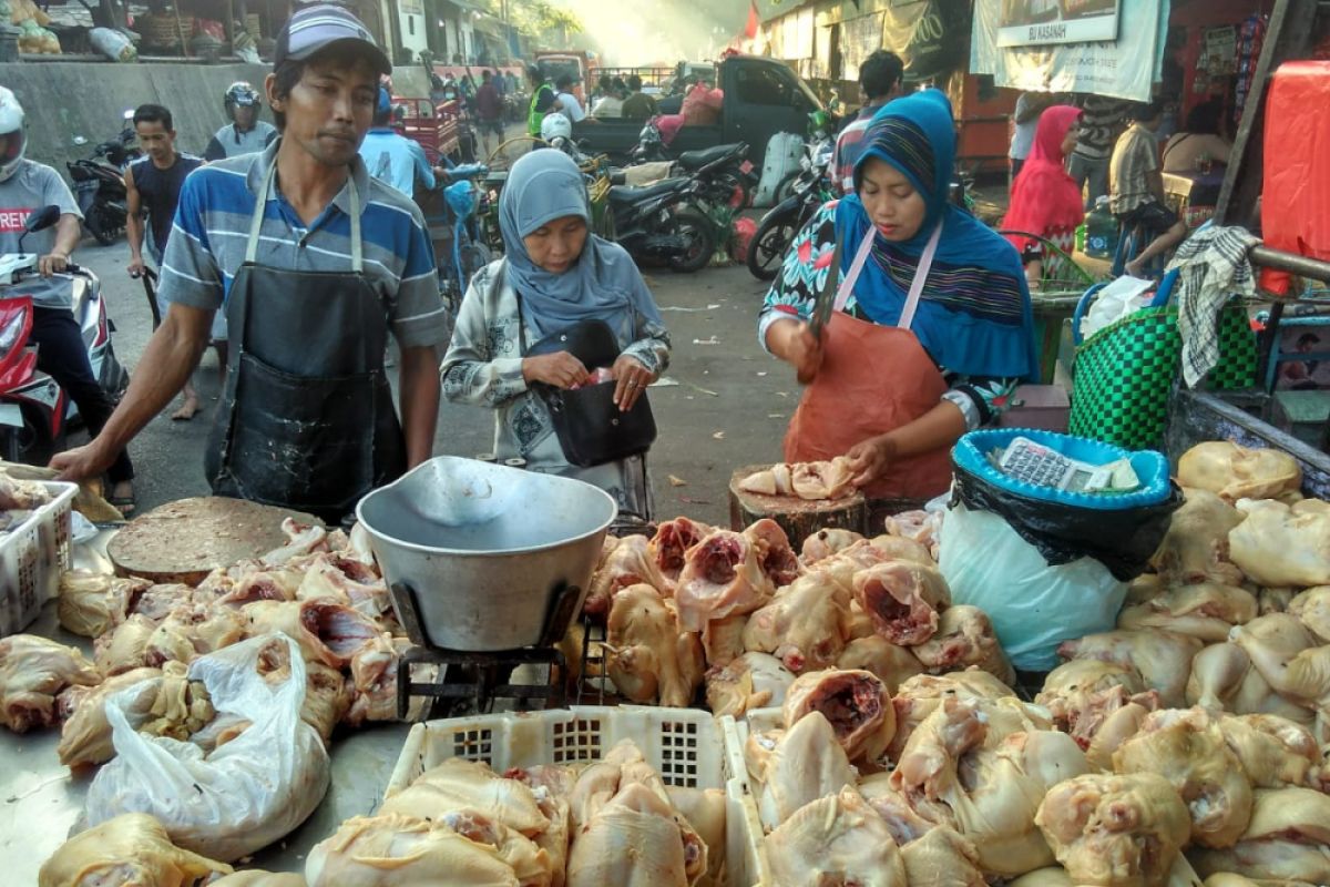 Omzet Pedagang Ayam Potong Bojonegoro Menurun