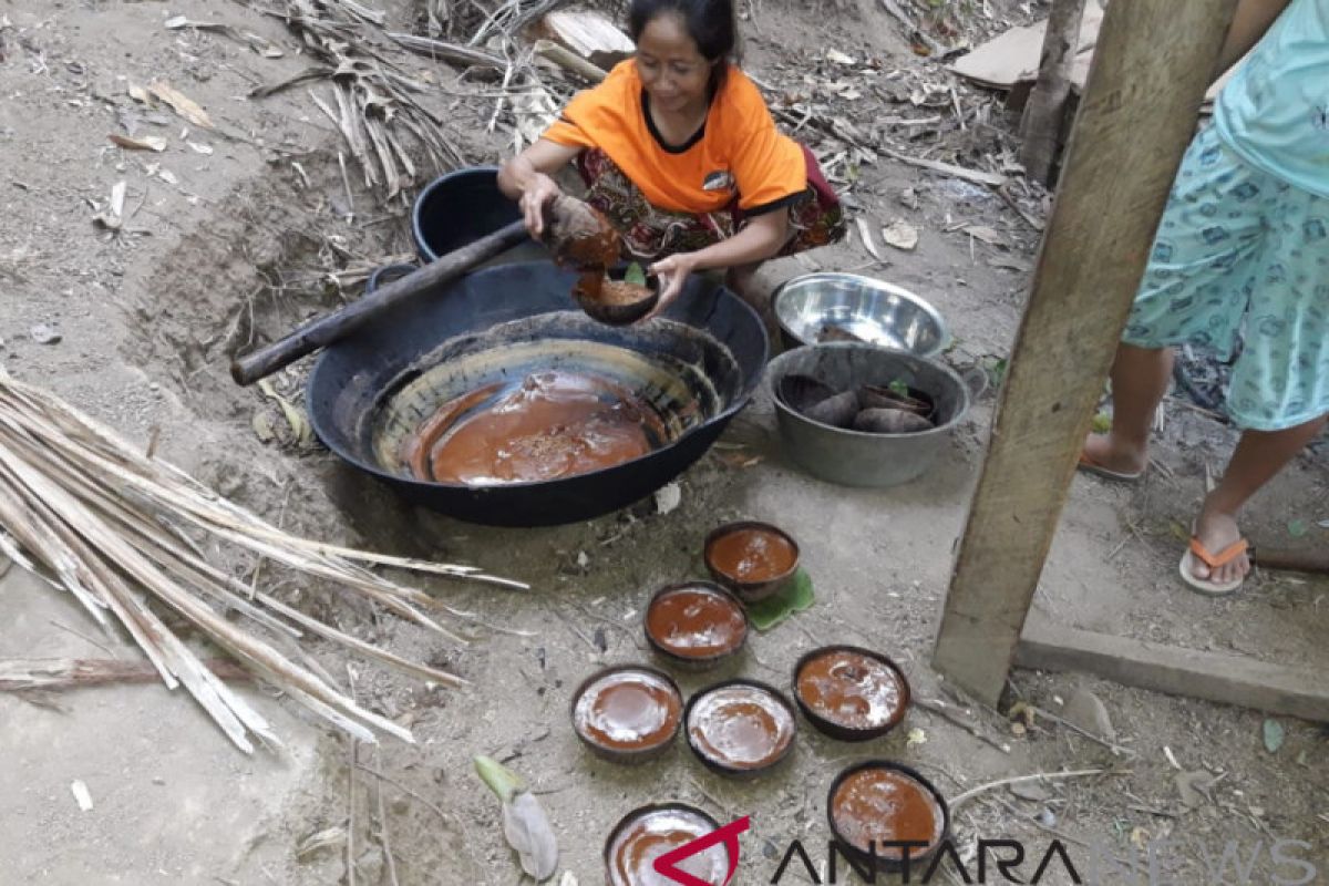 Korban gempa Lombok tetap produksi gula aren